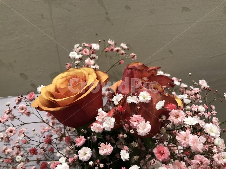 꽃,flower,blossom,flowerbouquet,꽃부케,드라이플라워,꽃다발,rose,dryflower,장미,식물,자연,plants,nature,꽃,flower