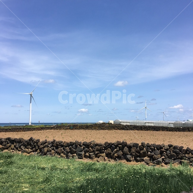 제주도,jeju,밭,시골,풍경