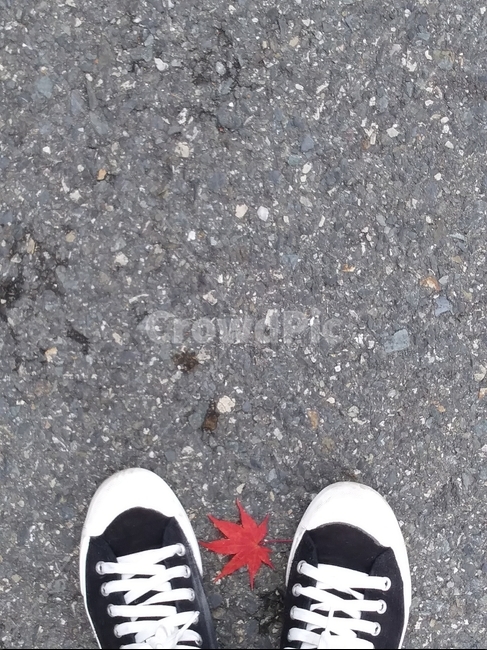 신발류,단풍,덩그러니,바닥,shoe,footwear