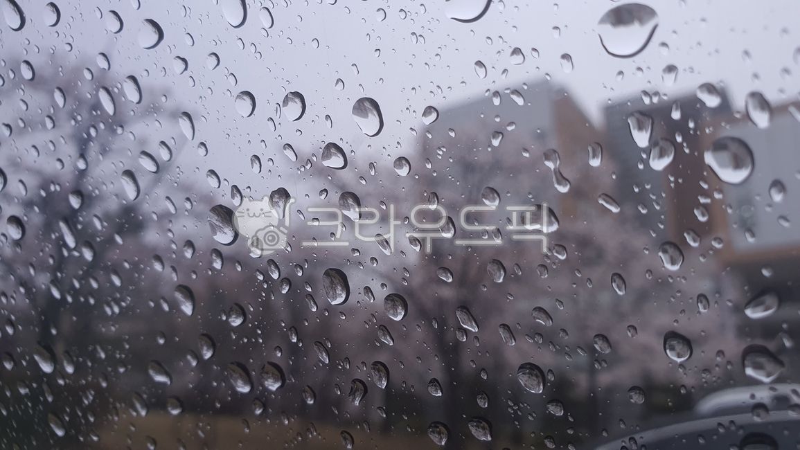 sky,rain,rainy day,Rainy Day,Emotion,spring rain,by the window,raindrop,rainday