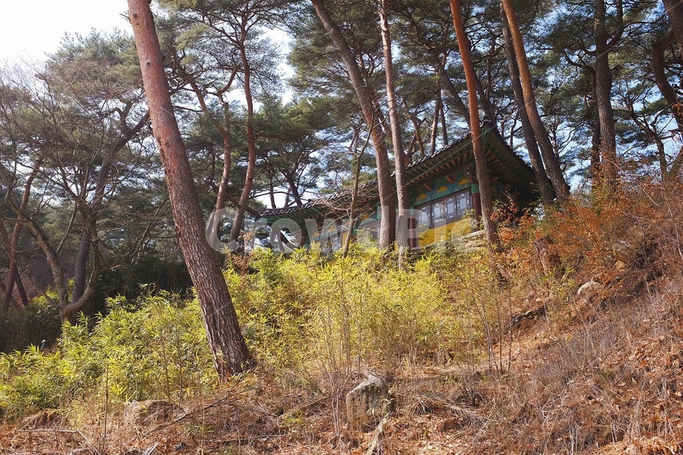 감성사진,봄,통도사,사찰,emotion,spring,temple,color,film,필름,한국전통,한국문화,korean traditional,korean culture,종교,신앙,religion,belief,faith