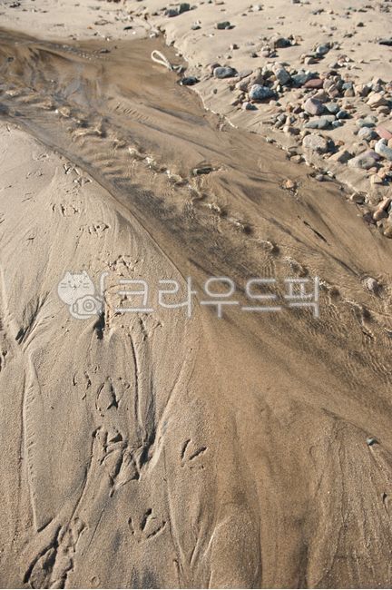 모래사장,해변,바닷가,바다,백사장,모래,여름,휴가,휴식,자연,배경,흐름,바닷물,투명한,발자국