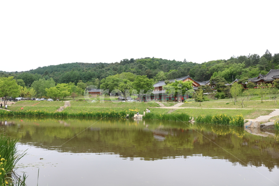 봉선사,풍경,전경,반영,저수지