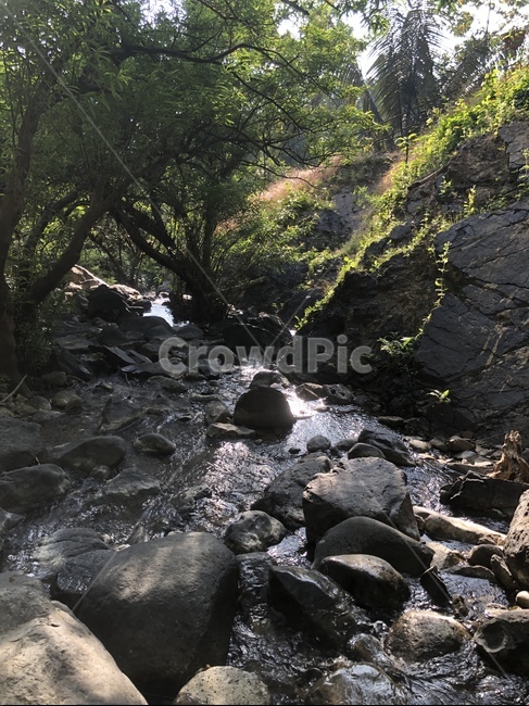 바위,돌,계곡,나무,물,자연,풍경,nature,landscape,water,outdoors,옥외,stream,흐름,creek,작은 만