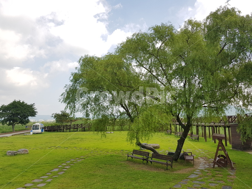 나무,초록,자연,tree,green,nature,낮