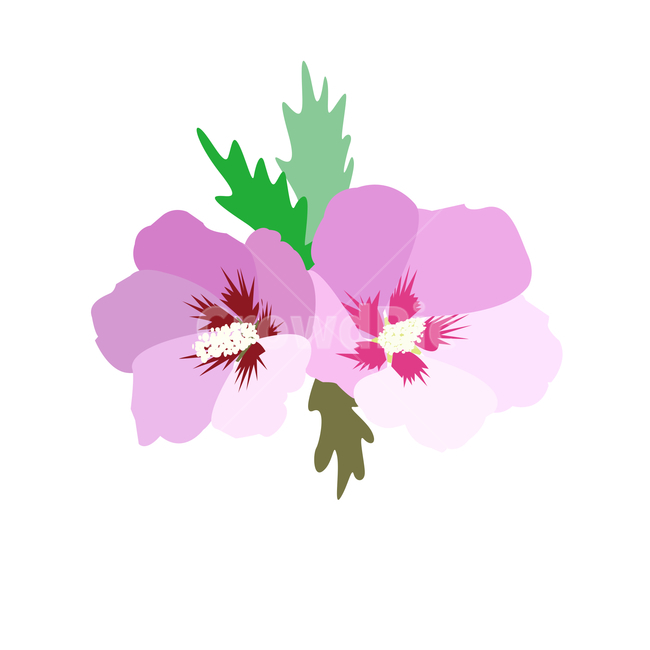 무궁화,핑크,국화,꽃,잎,일러스트,삽화,일러스트레이션,봄,자연,식물,nature,flower,전통적인,한국,디자인,디자인소스,아이콘,광복절,그래픽,무궁화일러스트,무궁화그림,꽃,flower,그래픽,일러스트레이션,graphic,illustration