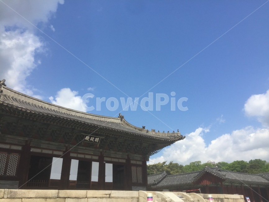 창경궁,하늘,문화재,맑음,풍경