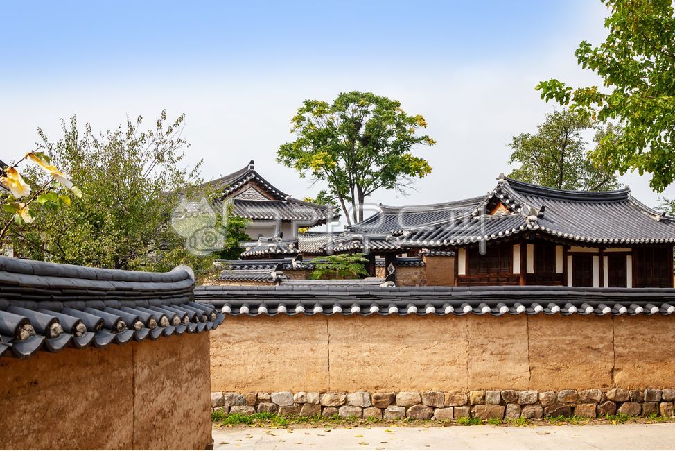 countryside,tree,soil,construct,house,building,Hahoe village,folklore,Hanok,Town,road,mud wall,tile,tiled house,tradition,country road,fence,wall