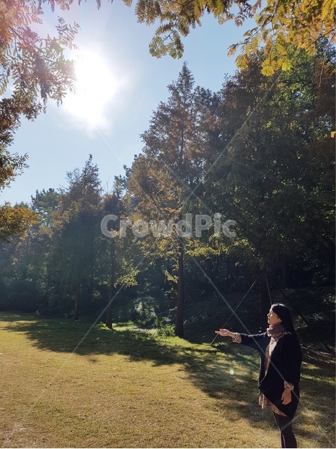 공원,산책,햇살,여유,봄,사람,인물,인간,human,person,여성,여자,woman,female,lady