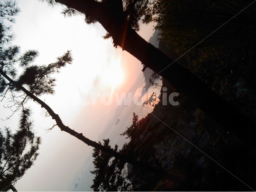 하늘,sky,바다,sea,일출,tree,sunrise,나무,자연,풍경,nature,landscape,flare,플레어,light,빛,sunlight,햇빛