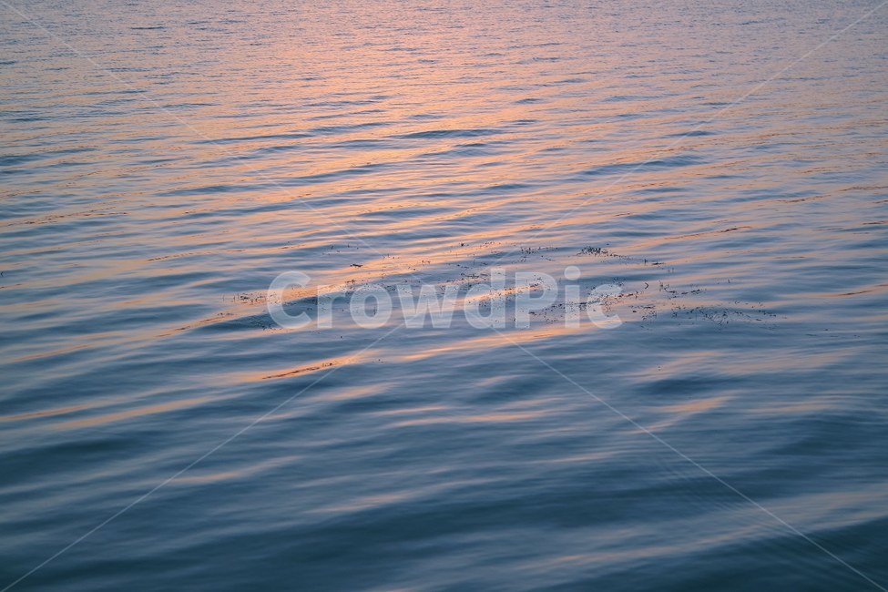 노을,sunset,색감,감성사진,물결,잔잔한,호수,바다,해,해질녘,일몰,분홍색,파랑색,sea,자연,풍경,nature,landscape,water,물,outdoors,옥외