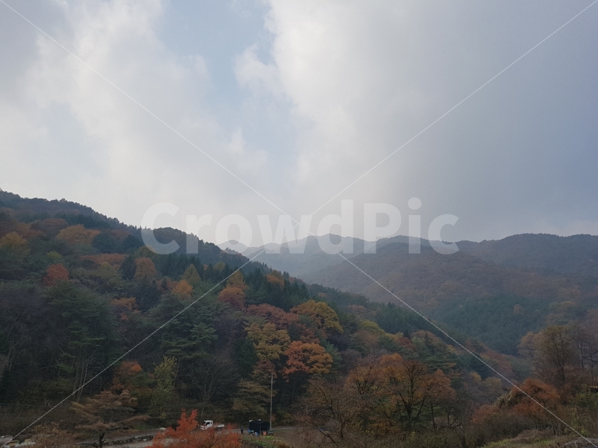여행,강원도,가을,산,풍경,감성,가을,계절,fall,autumn,season,자연,풍경,nature,landscape,한국자연풍경,한국자연경관,korea nature landscape,tree,나무,plant,식물