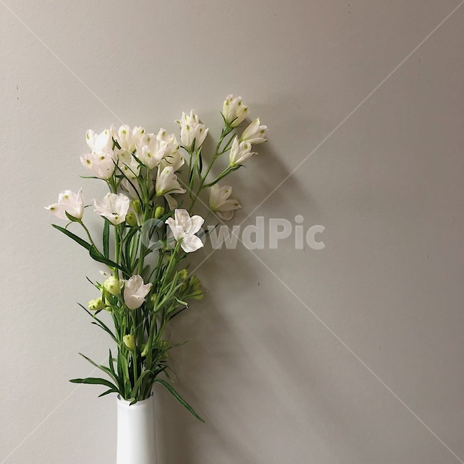 꽃,꽃병,화병,감성,봄,인테리어,소품,플라워,데코