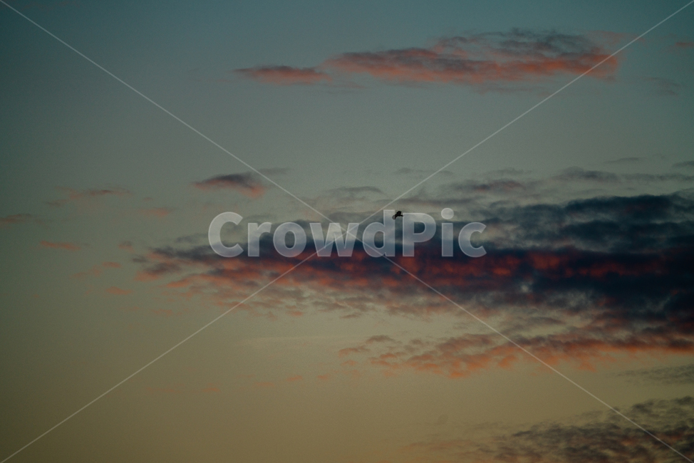 노을,해질녘,sunset,clouds,구름,풍경,nature,자연,outdoors,옥외,sky,하늘
