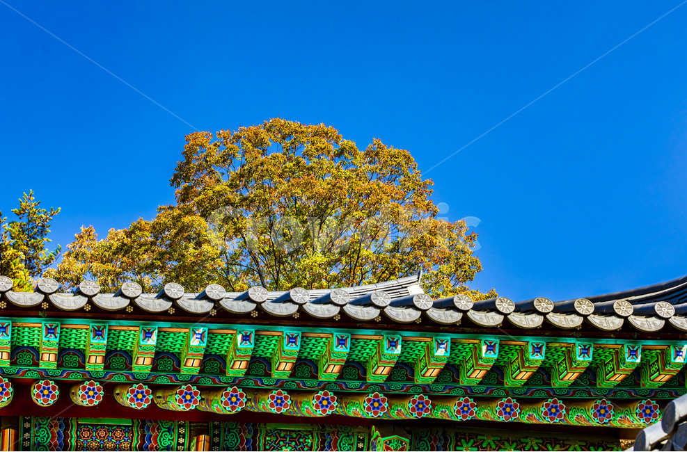 청평사,전통가옥,단청,기와지붕,처마,가을,단풍,문화유산,지붕,roof,건축물,문양,무늬,채색,한국전통,한국문화,korean traditional,korean culture,건축물,건물외관,exterior,building,structure,architecture,construction