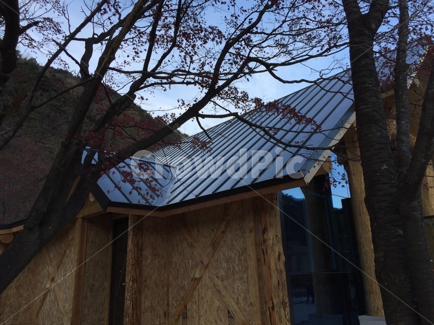 설악산,건물,창고,나무,풍경,building,자연,nature
