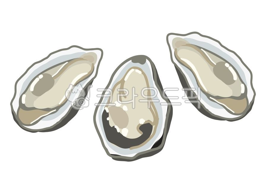 굴,생굴,통영,통영굴,겨울제철음식,겨울음식,통영음식,oysters,winterfood