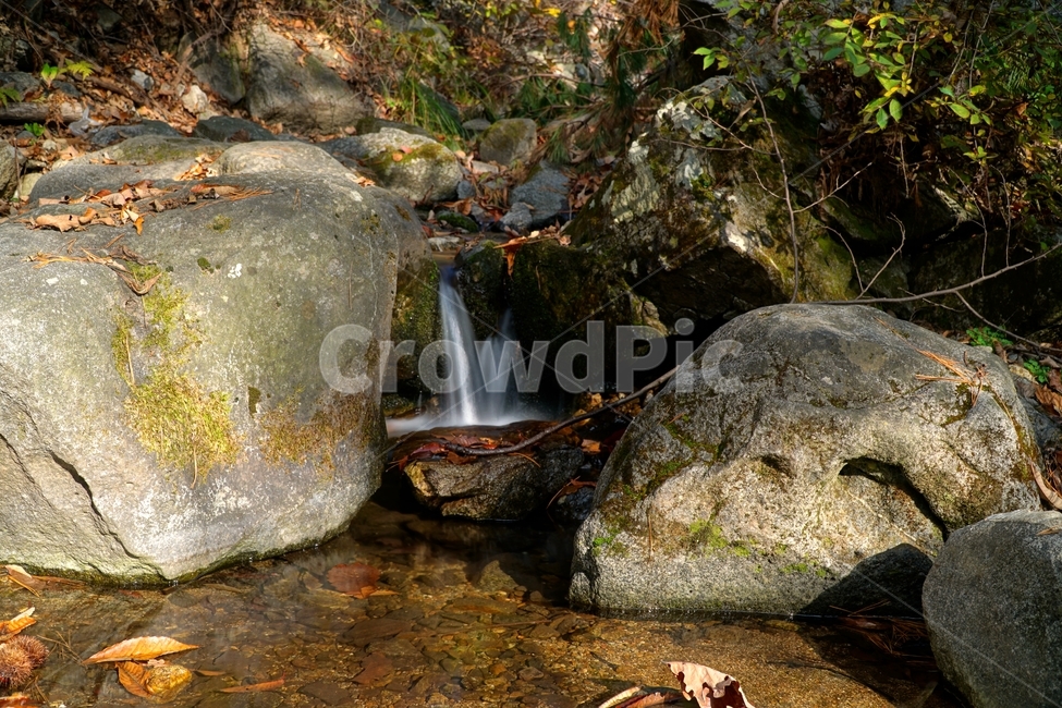 계곡,무지랭이계곡,경기도,경기북부,의정부,자연,가을,autumn,fall,11월,낙엽,물,water,나무,바위,돌,암석,tree,nature,rock,valley,한국,한국자연,korea,november,leaves,가을,계절,fall,autumn,season,자연,풍경,nature,landscape,river,강,outdoors,옥외