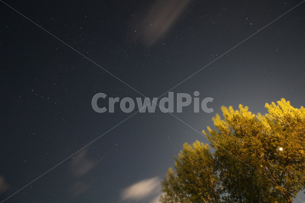 야경,별,풍경,나무,숲,구름,하늘,별사진,은하수,자연,풍경,nature,landscape,야경,밤,nightscape,night,outdoors,옥외