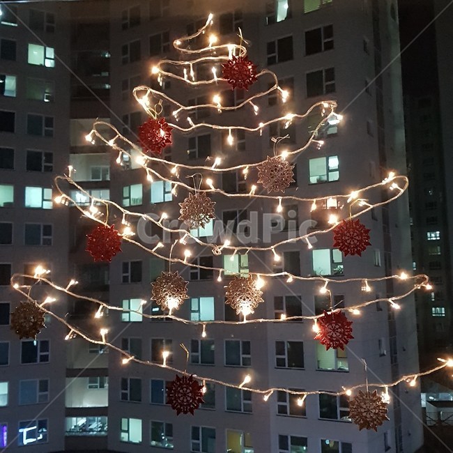 트리,크리스마스,조명,전구,인테리어,겨울,겨울,계절,winter,season,야경,밤,풍경,nightscape,night,landscape,메리크리스마스,성탄절,merry christmas,tree,나무,plant,식물
