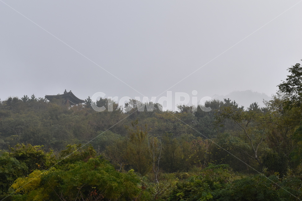 하늘,정자,자연,옥외,구름,안개,날씨,자연,풍경,nature,landscape