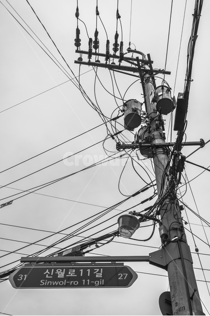 흑백,흑백사진,전봇대,전신주,가로등,흑백,모노톤,monochrome,black and white,산업,industry,industrial,에너지산업,energy industry