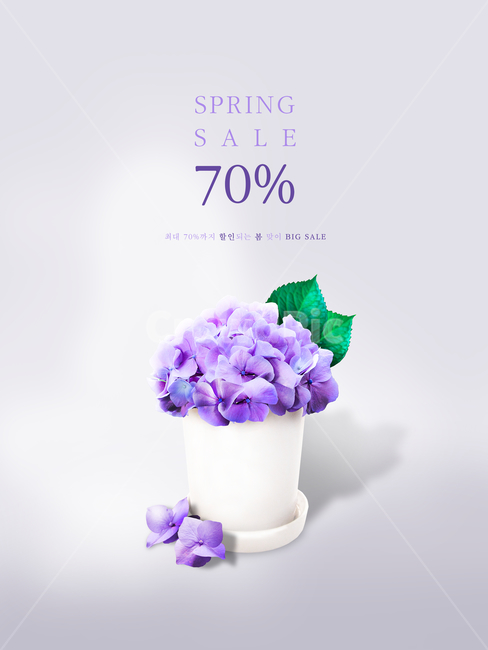 수국,꽃,꽃잎,봄,프레임,이벤트,쇼핑,봄,계절,spring,season,꽃,flower,축제,행사,festival,carnival,event,쇼핑,shopping,그래픽,일러스트레이션,graphic,illustration,plant,식물