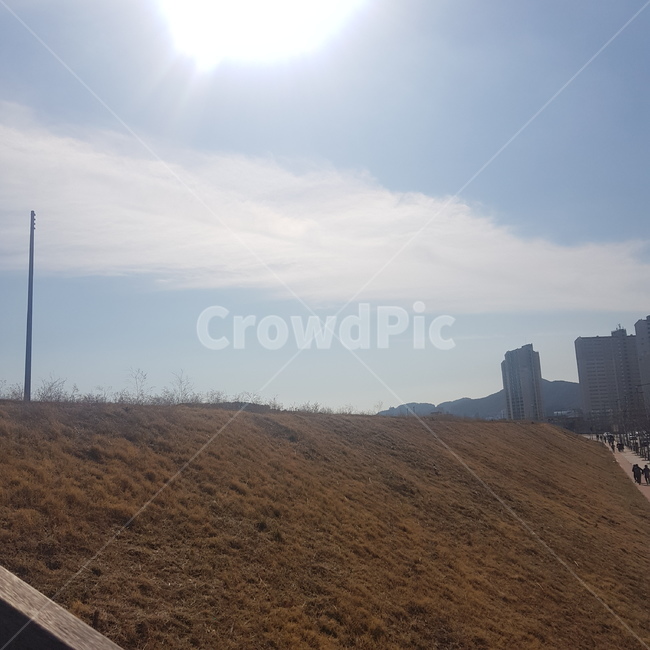 outdoors,옥외,nature,자연,grass,풀,sky,하늘