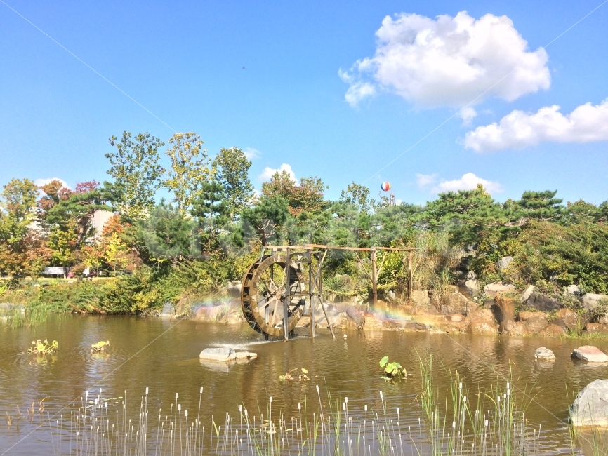 대전,유성구,봉명동,유림공원,국화축제,자연,풍경,nature,landscape,한국자연풍경,한국자연경관,korea nature landscape,water,물