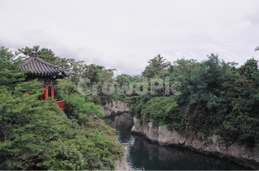 제주도,필름카메라,풍경,자연,정자,필카,배경,자연,풍경,nature,landscape,한국자연풍경,한국자연경관,korea nature landscape,제주도,jeju,jeju island,outdoors,옥외