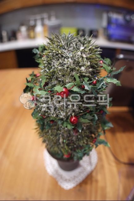 Cafe props,interior props,christmas tree,plant,tree,christmastree,decoration