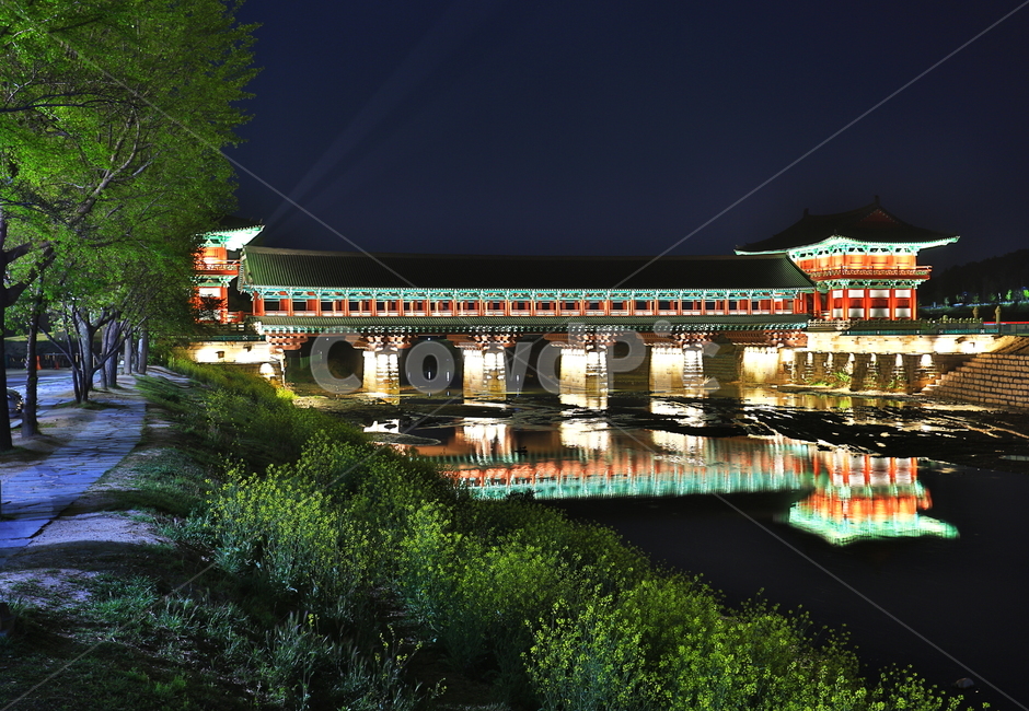 경주,풍경,자연,유채꽃,반영,월정교,야경,밤,풍경,nightscape,night,landscape,랜드마크,landmark,tourist attraction,한국랜드마크,한국관광지,한국명소,korea landmark,korea tourist attraction