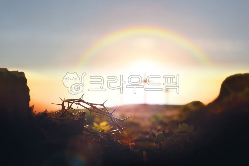 십자가,가시면류관,무지개,예수그리스도,가시,고난주간,부활절,사순절,가시관,하나님,예수님,고난,고통,죽음,부활,희생,믿음,신앙,교회,거룩한,성당,기독교,천주교,배경,밝은,어두운,예배,기도,은혜,성령,보혈,묵상,실루엣,성경,구원,골고다언덕,태양,빛,하늘