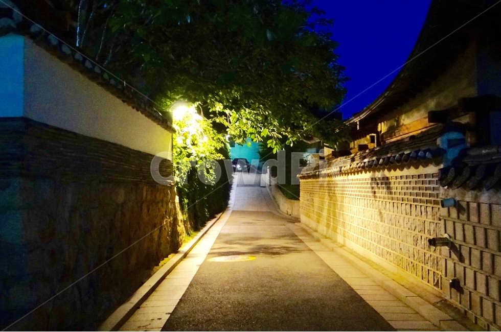 집,마을,감성,밤골목,골목길,빛,나무,house,village,emotion,light,tree,야경,밤,풍경,nightscape,night,landscape,골목길,alley,path,통로