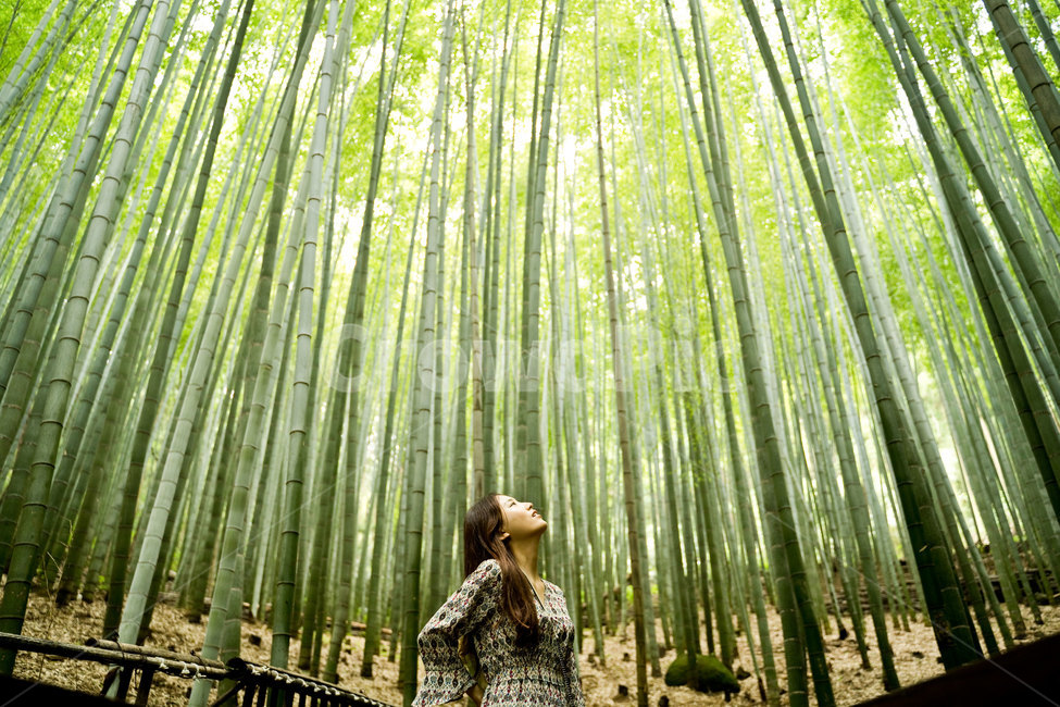 대나무,대나무숲,초록,background,여자,옆모습,풍경,자연,nature,여름,사람,인물,인간,human,person,여성,여자,woman,female,lady,여행,휴가,traveling,vacation,trip,휴식,힐링,rest,relaxation,healing