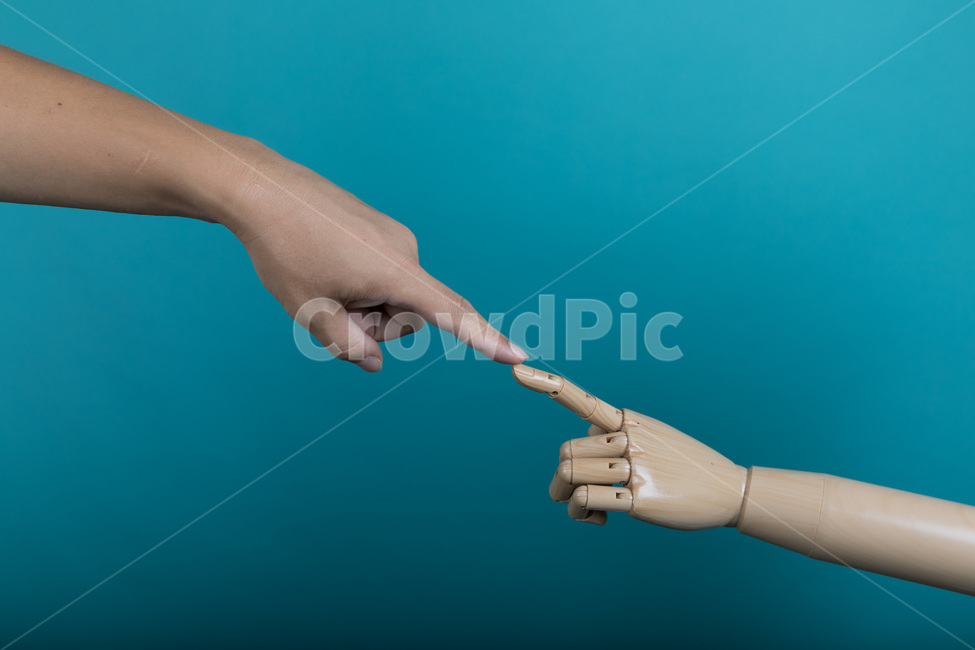 손,잡아,인간,비즈니스,개념,근접촬영,포인팅,마네킹,방향,인공,손가락,팔,관절,손톱,마주치다,hand,hold,human,business,concept,closeup,pointing,mannequin,direction,artificial,finger,arm,joints,nail,사람,인물,인간,human,person,신체일부,몸,body,연출,컨셉,콘셉,direction,concept