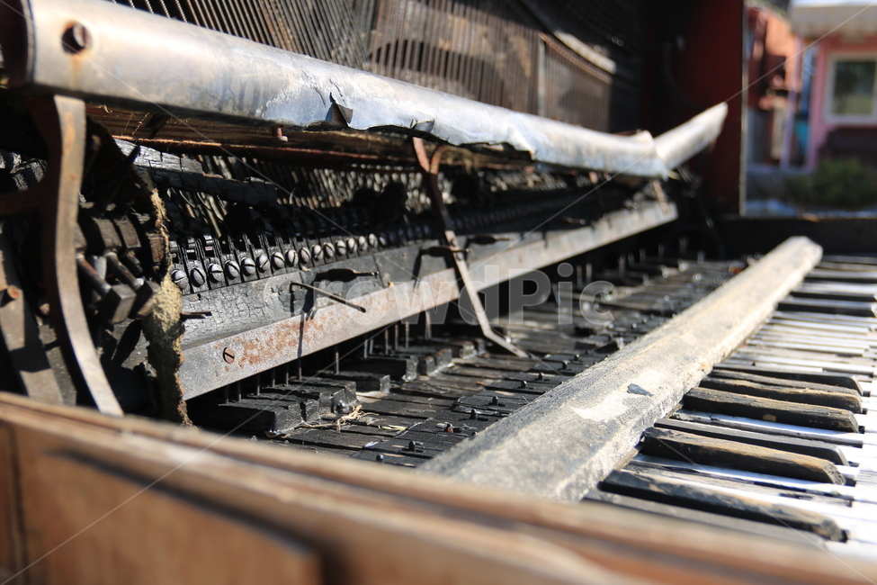 서울시,용마랜드,피아노,중랑구,놀이공원,악기,음향기기,musical instrument,musical equipment