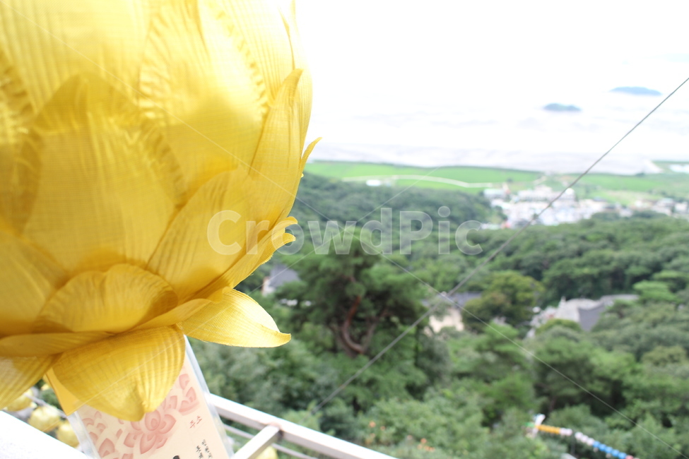 lantern,연등,산정상,바다,숲,tree,나무