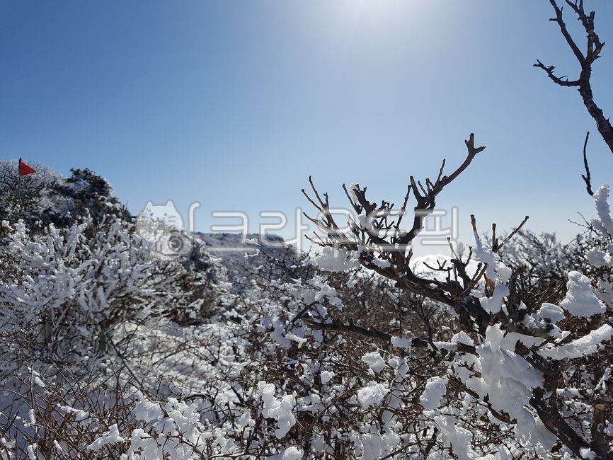 제주도,한라산,설산,눈오는날,눈내리는풍경,눈