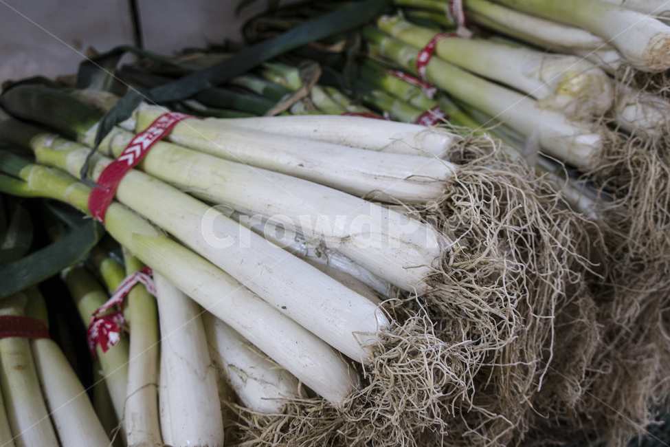 soup,dispatch,green onion root,green onion,crops,supermarket,wellbeing,root,block,Handan,green onion salad,bundle,organic,ingredient,kimchi,mart,Kimchi Ingredients,vegetarian diet,cooking ingredients,food,Pahandan,green onion green onion,healthy,green oni