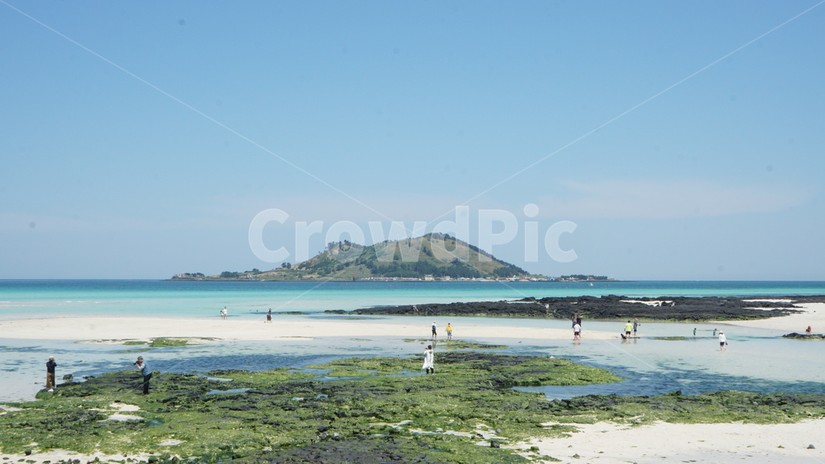 제주도,제주,제주바다,바다,여름,해변,바다,beach,sea,제주도,jeju,jeju island,outdoors,옥외,land,땅,nature,자연,ocean,대양,water,물,shoreline,해안선,human,인간,person,사람,coast,연안