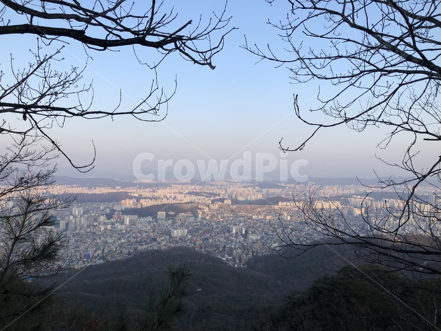 산,풍경,나무,하늘,뒷산