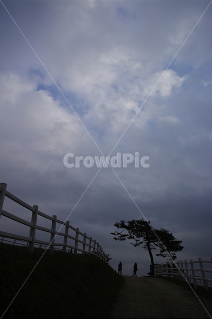 목장,울타리,하늘,나무,풍경,자연,풍경,nature,landscape,사람,인물,인간,human,person,handrail,난간,banister
