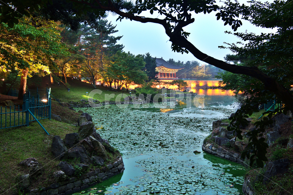 안압지,경주,동궁과월지,신라,유적지,야경,밤,풍경,nightscape,night,landscape,랜드마크,landmark,tourist attraction,한국랜드마크,한국관광지,한국명소,korea landmark,korea tourist attraction,건축물,건물외관,exterior,building,structure,architecture,construction,outdoors,옥외,water,물,nature,자연