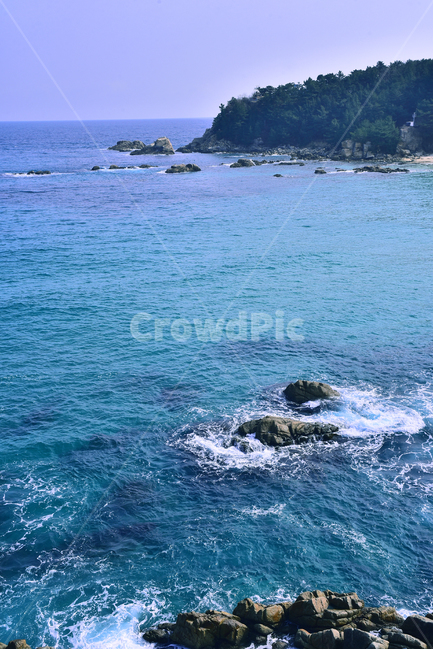 바다풍경,한국자연경관,동해안,파도,포말,물결,해안,풍경,웨이브,wave,동해바다,갯바위,암석,절벽,한국자연풍경,블루,파랑색,상록수,투명한,맑은