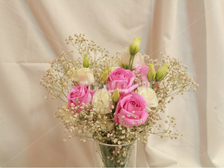 꽃,장미,꽃봉우리,스튜디오,정물,사물,오브젝트,안개꽃,꽃,flower,실내용화초,화분,화초,house plant