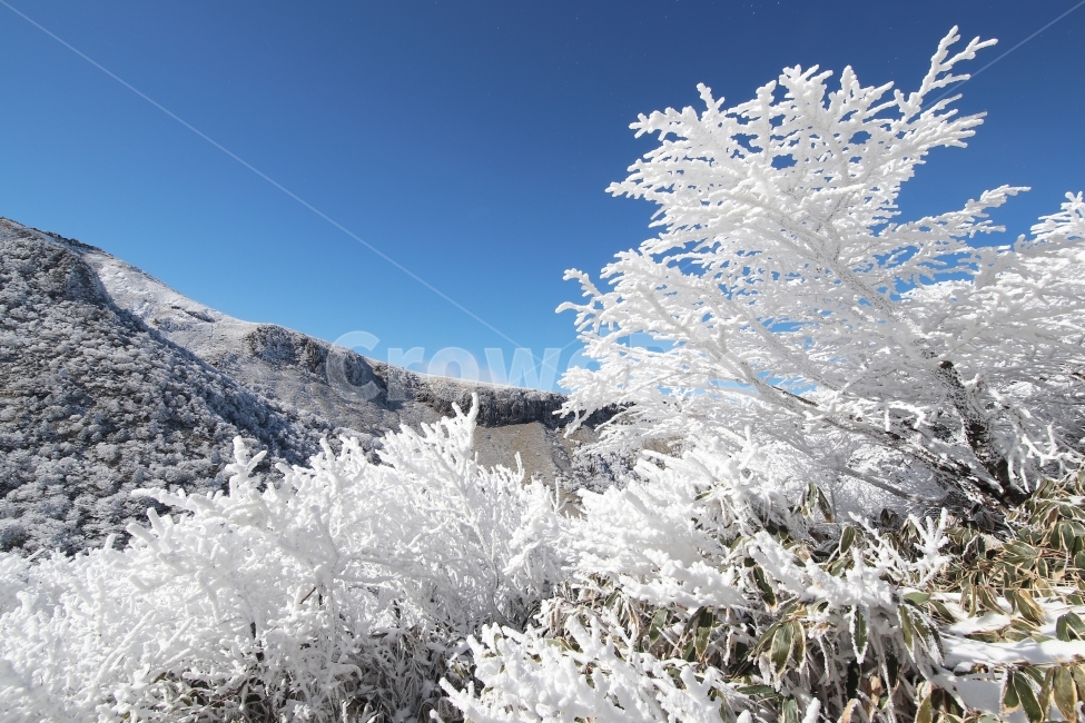 한라산,상고대,설산,겨울,겨울산행,눈꽃,진달래대피소,성판악,관음사,제주도,제주,백록담,겨울,계절,winter,season,자연,풍경,nature,landscape,한국자연풍경,한국자연경관,korea nature landscape,제주도,jeju,jeju island,ice,얼음,outdoors,옥외