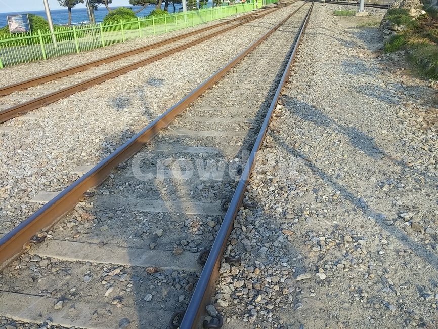 기찻길,정동진,철도,풍경,직선,line,교통,rail,railway
