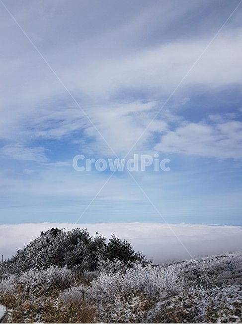 설산,겨울,눈꽃,겨울나무,겨울풍경,한라산,겨울산,눈,nature,자연,겨울,계절,winter,season,자연,풍경,nature,landscape