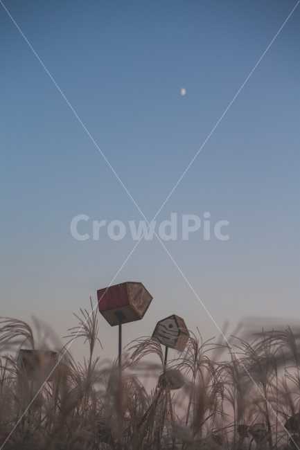 하늘공원,노을,달,sunset,moon,가을,계절,fall,autumn,season,자연,풍경,nature,landscape,감성,sensible,feeling